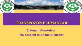 TRANSPOZON ELEMANLAR
Solomon Amakelew
PhD Student in Animal Genetics
 