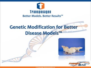 Better Models. Better Results™


Genetic Modification for Better
       Disease Models™




                                                      1
              © Transposagen Biopharmaceutics, Inc.
 