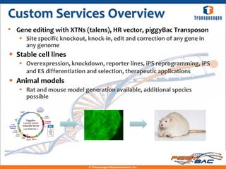 Custom Services Overview
• Gene editing with XTNs (talens), HR vector, piggyBac Transposon
    Site specific knockout, knock-in, edit and correction of any gene in
     any genome
• Stable cell lines
    Overexpression, knockdown, reporter lines, iPS reprogramming, iPS
     and ES differentiation and selection, therapeutic applications
• Animal models
    Rat and mouse model generation available, additional species
     possible




                             © Transposagen Biopharmaceutics, Inc.
 