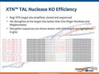 XTN™ TAL Nuclease KO Efficiency
• Rag1 XTN target site amplified, cloned and sequenced
• 16% disruption at the target site: better than Zinc-finger Nuclease and
  Meganuclease
• Disruption sequences are shown below with XTN target site highlighted
  in grey




                            © Transposagen Biopharmaceutics, Inc.
 
