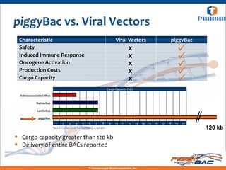 piggyBac vs. Viral Vectors
  Characteristic                                                                  Viral Vectors                             piggyBac
  Safety                                                                                    X                                    
  Induced Immune Response                                                                   X                                    
  Oncogene Activation                                                                       X                                    
  Production Costs                                                                          X                                    
  Cargo Capacity                                                                            X                                    
                                                                            Cargo Capacity (kb)

  Adenoassociated Virus

             Retrovirus

             Lentivirus

              piggyBac
                            1     2     3     4     5     6      7     8     9    10   11   12    13   14   15   16   17   18   19   20
                          Source: Current Gene Therapy (2004), 4, 357-372                                                                 120 kb
• Cargo capacity greater than 120 kb
• Delivery of entire BACs reported

                                                          © Transposagen Biopharmaceutics, Inc.
 