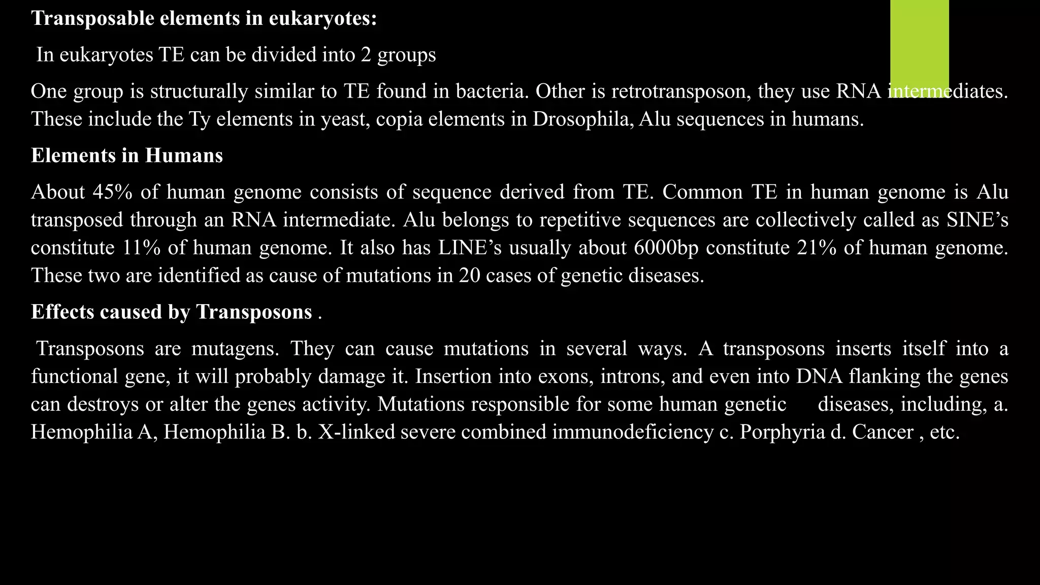 Transposition | PPTX