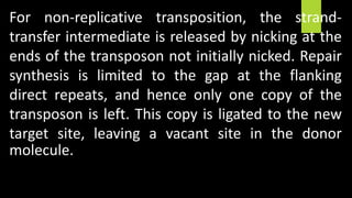 For non-replicative transposition, the strand-
transfer intermediate is released by nicking at the
ends of the transposon not initially nicked. Repair
synthesis is limited to the gap at the flanking
direct repeats, and hence only one copy of the
transposon is left. This copy is ligated to the new
target site, leaving a vacant site in the donor
molecule.
 