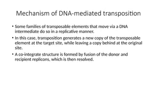 transposition, cell molecular biology.pptx