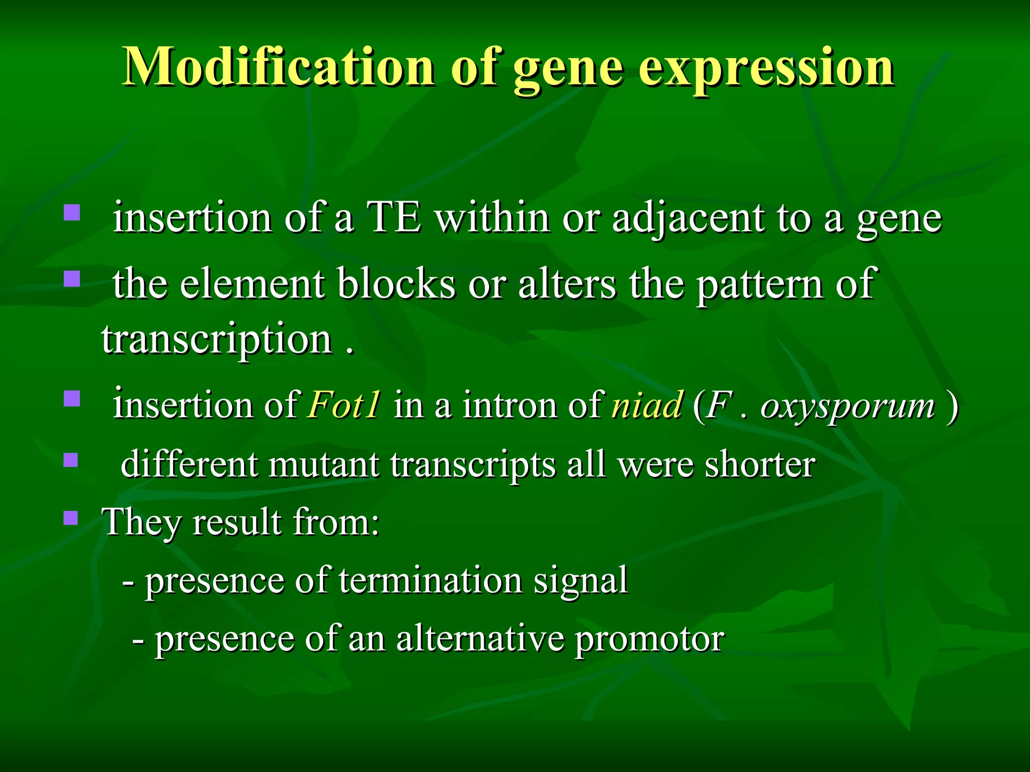 Modification of gene expression  insertion of a TE within or adjacent to a gene  the element blocks or alters the pattern of transcription .  i nsertion of   Fot1   in a intron of  niad   ( F . oxysporum  ) different mutant transcripts all were shorter  They result from:  - presence of termination signal  - presence of an alternative promotor 