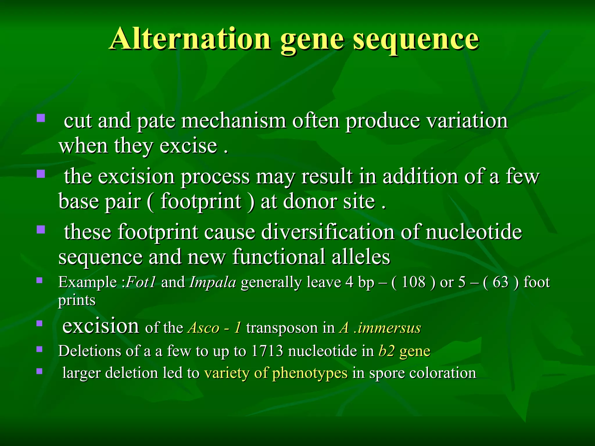 Alternation gene sequence  cut and pate mechanism often produce variation when they excise . the excision process may result in addition of a few base pair ( footprint ) at donor site . these footprint cause diversification of nucleotide sequence and new functional alleles Example : Fot1  and  Impala  generally leave 4 bp – ( 108 ) or 5 – ( 63 ) foot prints excision  of the  Asco - 1  transposon in  A .immersus   Deletions of a a few to up to 1713 nucleotide in  b2  gene   larger deletion led to  variety of phenotypes  in spore coloration  