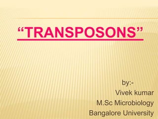 “TRANSPOSONS”
by:-
Vivek kumar
M.Sc Microbiology
Bangalore University
 