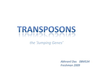 Transposons the ‘Jumping Genes’ Abhranil Das	08MS34 Freshman 2009 