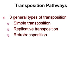 Transposition Pathways
 