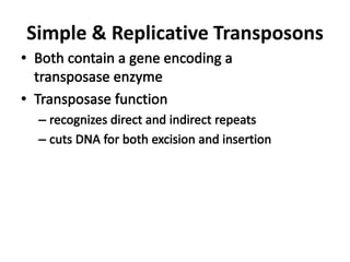 Simple & Replicative Transposons
 