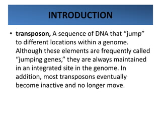INTRODUCTION
• transposon, A sequence of DNA that “jump”
to different locations within a genome.
Although these elements are frequently called
“jumping genes,” they are always maintained
in an integrated site in the genome. In
addition, most transposons eventually
become inactive and no longer move.
 