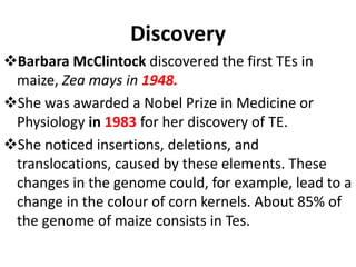 Discovery
Barbara McClintock discovered the first TEs in
maize, Zea mays in 1948.
She was awarded a Nobel Prize in Medicine or
Physiology in 1983 for her discovery of TE.
She noticed insertions, deletions, and
translocations, caused by these elements. These
changes in the genome could, for example, lead to a
change in the colour of corn kernels. About 85% of
the genome of maize consists in Tes.
 