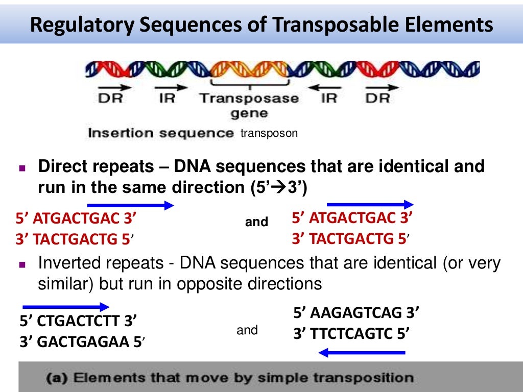 Transposons