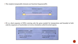 Transposition Inverted Sequences Transposons | PPTX
