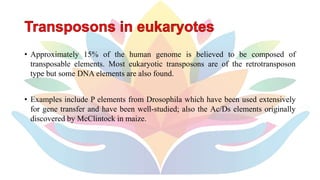 Transposons | PPTX