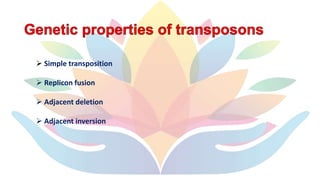 Transposons | PPTX