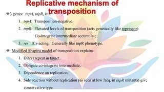 Transposition Model Transposons | PPTX