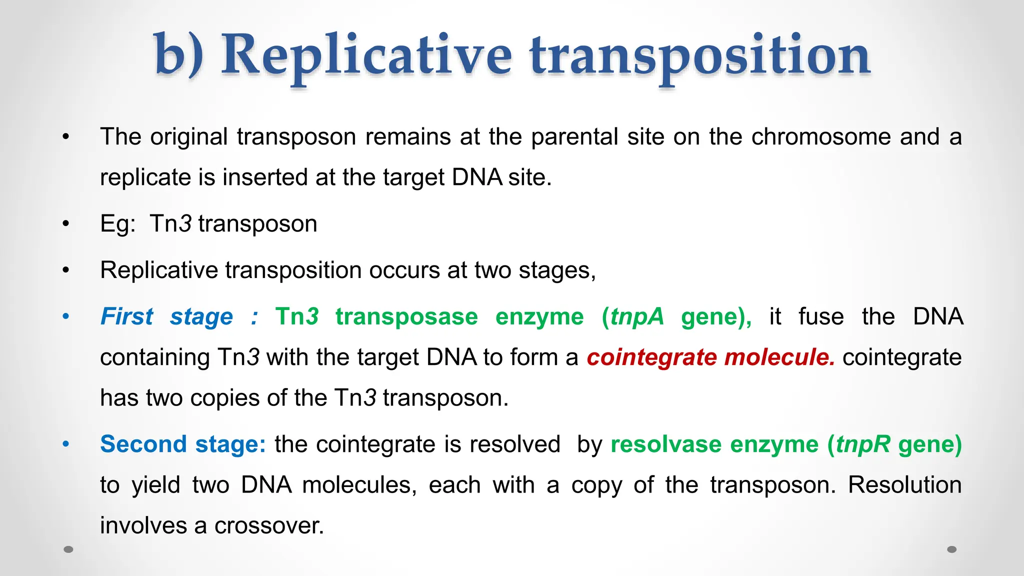 b) Replicative transposition
• The original transposon remains at the parental site on the chromosome and a
replicate is inserted at the target DNA site.
• Eg: Tn3 transposon
• Replicative transposition occurs at two stages,
• First stage : Tn3 transposase enzyme (tnpA gene), it fuse the DNA
containing Tn3 with the target DNA to form a cointegrate molecule. cointegrate
has two copies of the Tn3 transposon.
• Second stage: the cointegrate is resolved by resolvase enzyme (tnpR gene)
to yield two DNA molecules, each with a copy of the transposon. Resolution
involves a crossover.
 