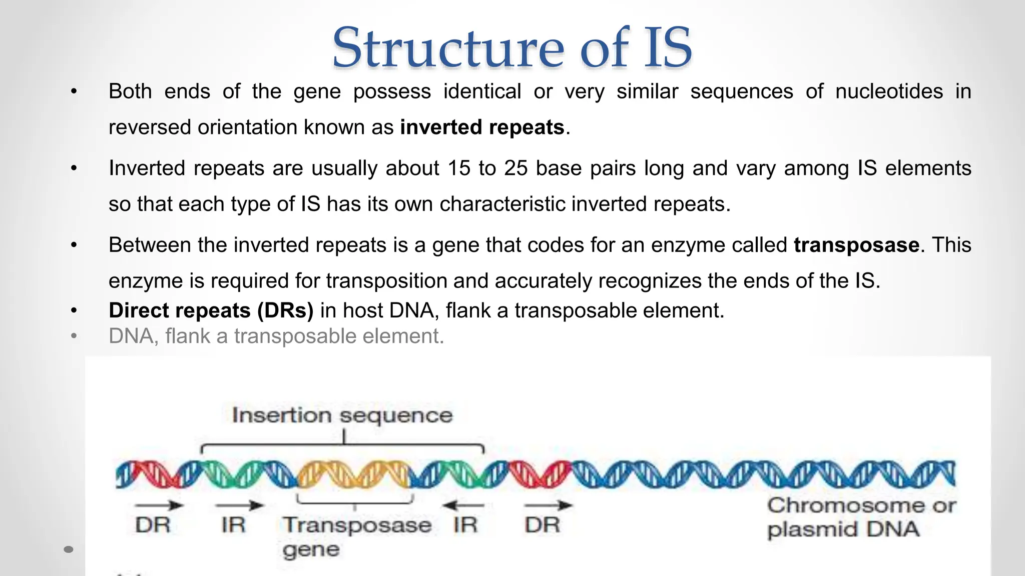 Structure of IS
• Both ends of the gene possess identical or very similar sequences of nucleotides in
reversed orientation known as inverted repeats.
• Inverted repeats are usually about 15 to 25 base pairs long and vary among IS elements
so that each type of IS has its own characteristic inverted repeats.
• Between the inverted repeats is a gene that codes for an enzyme called transposase. This
enzyme is required for transposition and accurately recognizes the ends of the IS.
• Direct repeats (DRs) in host DNA, flank a transposable element.
• DNA, flank a transposable element.
 
