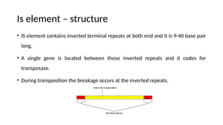Transposons and Mechanism of Transposition.pptx