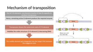 Transposons and Mechanism of Transposition.pptx