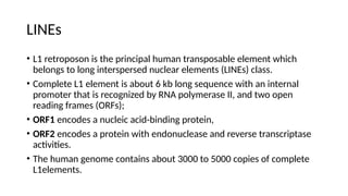 Transposons and Mechanism of Transposition.pptx