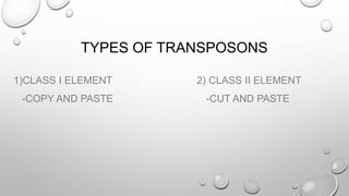 TYPES OF TRANSPOSONS
1)CLASS I ELEMENT 2) CLASS II ELEMENT
-COPY AND PASTE -CUT AND PASTE
 