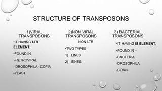 STRUCTURE OF TRANSPOSONS
1)VIRAL
TRANSPOSONS
•IT HAVING LTR
ELEMENT.
•FOUND IN-
-RETROVIRAL
-DROSOPHILA –COPIA
-YEAST
2)NON VIRAL
TRANSPOSONS
NON-LTR
•TWO TYPES-
1) LINES
2) SINES
3) BACTERIAL
TRANSPOSONS
•IT HAVING IS ELEMENT.
•FOUND IN –
-BACTERIA
-DROSOPHILA
-CORN
 