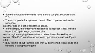 • Some transposable elements have a more complex structure than
Tn3.
• These composite transposons consist of two copies of an insertion
sequence
on either side of a set of resistance genes.
• For example, the tetracycline resistance transposon Tn10, which is
about 9300 bp in length, consists of a
central region carrying the resistance determinants flanked by two
copies of the IS10 insertion sequence in opposite orientations (Figure
7.5;)
• IS10 itself is about 1300 bp long with 23 bp inverted-repeat ends and
contains a transposase gene
 