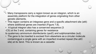 • Many transposons carry a region known as an integron, which is an
assembly platform for the integration of genes originating from other
genetic elements.
• This region contains an integrase gene and a specific attachment site (attI)
where additional genes are inserted (Figure 7.8).
• A typical integron also has a conserved sequence (3
-CS) at the 3 end, containing genes for resistance
to quaternary ammonium disinfectants (qacE) and sulphonamides (sul).
• The gene to be inserted is excised from elsewhere as a circular molecule
containingjust a single gene with an imperfect inverted repeat (the attC
site) at its 3end. This is known as a cassette
 