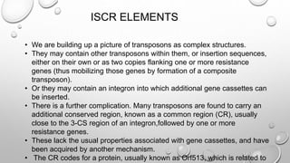 ISCR ELEMENTS
• We are building up a picture of transposons as complex structures.
• They may contain other transposons within them, or insertion sequences,
either on their own or as two copies flanking one or more resistance
genes (thus mobilizing those genes by formation of a composite
transposon).
• Or they may contain an integron into which additional gene cassettes can
be inserted.
• There is a further complication. Many transposons are found to carry an
additional conserved region, known as a common region (CR), usually
close to the 3-CS region of an integron,followed by one or more
resistance genes.
• These lack the usual properties associated with gene cassettes, and have
been acquired by another mechanism.
• The CR codes for a protein, usually known as Orf513, which is related to
 