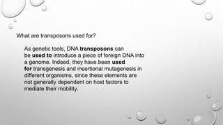 What are transposons used for?
As genetic tools, DNA transposons can
be used to introduce a piece of foreign DNA into
a genome. Indeed, they have been used
for transgenesis and insertional mutagenesis in
different organisms, since these elements are
not generally dependent on host factors to
mediate their mobility.
 