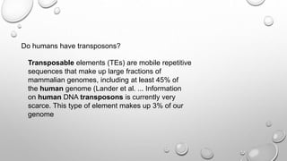 Do humans have transposons?
Transposable elements (TEs) are mobile repetitive
sequences that make up large fractions of
mammalian genomes, including at least 45% of
the human genome (Lander et al. ... Information
on human DNA transposons is currently very
scarce. This type of element makes up 3% of our
genome
 