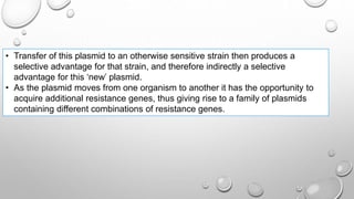• Transfer of this plasmid to an otherwise sensitive strain then produces a
selective advantage for that strain, and therefore indirectly a selective
advantage for this ‘new’ plasmid.
• As the plasmid moves from one organism to another it has the opportunity to
acquire additional resistance genes, thus giving rise to a family of plasmids
containing different combinations of resistance genes.
 