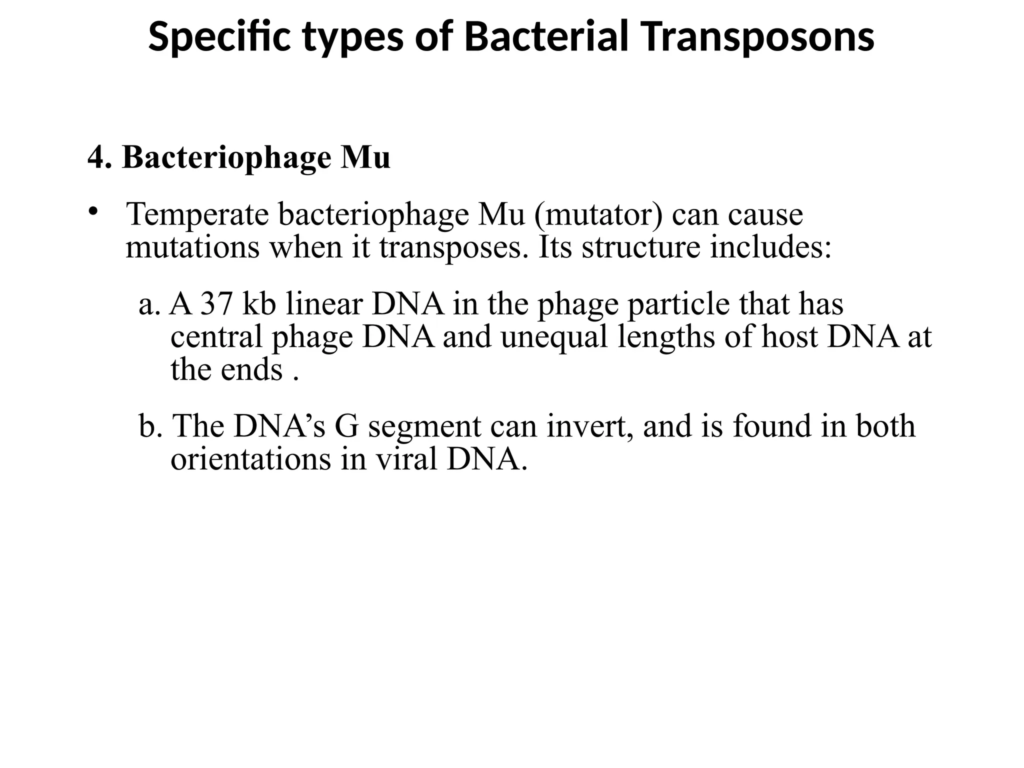 4. Bacteriophage Mu
• Temperate bacteriophage Mu (mutator) can cause
mutations when it transposes. Its structure includes:
a. A 37 kb linear DNA in the phage particle that has
central phage DNA and unequal lengths of host DNA at
the ends .
b. The DNA’s G segment can invert, and is found in both
orientations in viral DNA.
Specific types of Bacterial Transposons
 