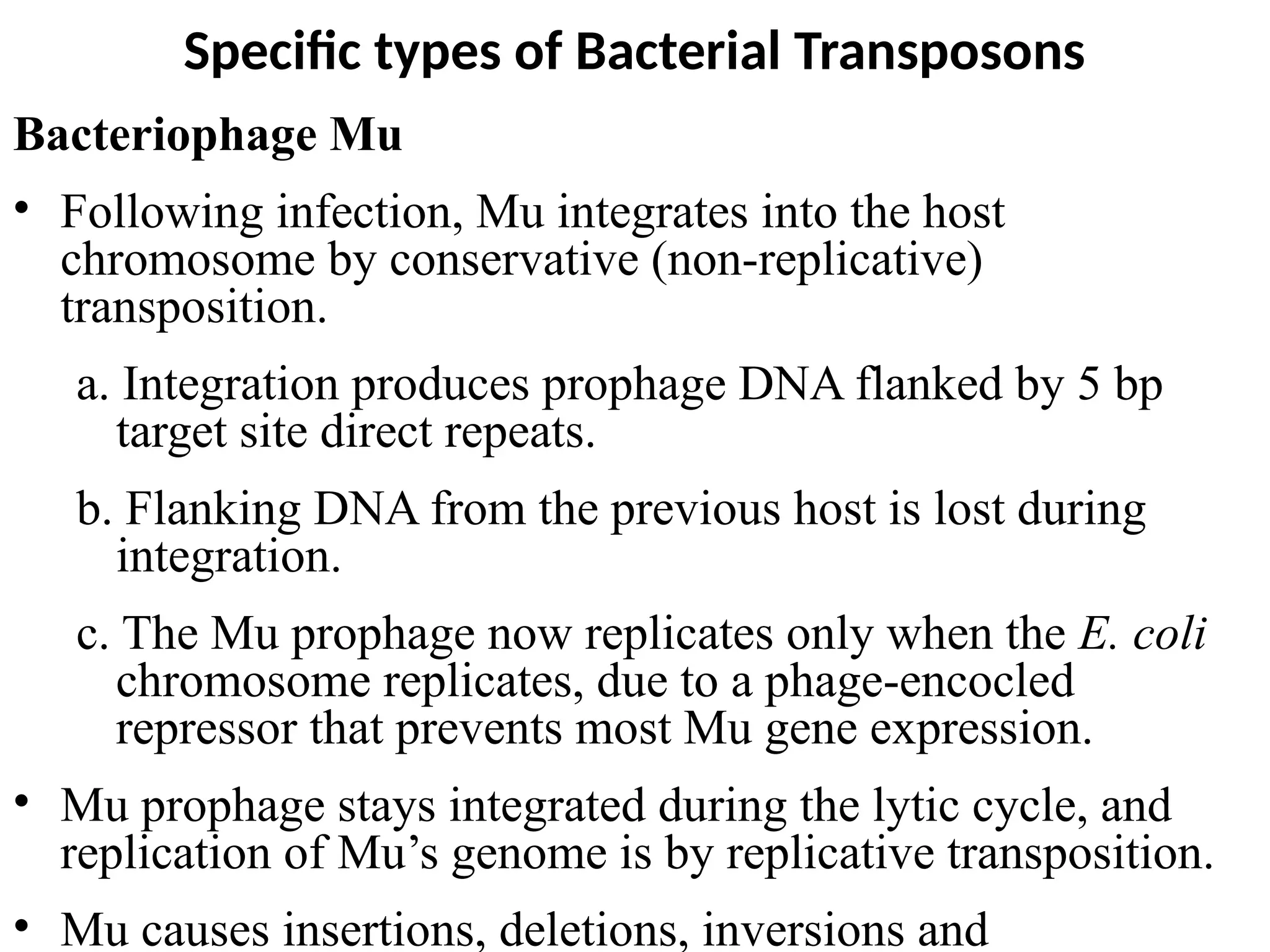 Bacteriophage Mu
• Following infection, Mu integrates into the host
chromosome by conservative (non-replicative)
transposition.
a. Integration produces prophage DNA flanked by 5 bp
target site direct repeats.
b. Flanking DNA from the previous host is lost during
integration.
c. The Mu prophage now replicates only when the E. coli
chromosome replicates, due to a phage-encocled
repressor that prevents most Mu gene expression.
• Mu prophage stays integrated during the lytic cycle, and
replication of Mu’s genome is by replicative transposition.
• Mu causes insertions, deletions, inversions and
Specific types of Bacterial Transposons
 