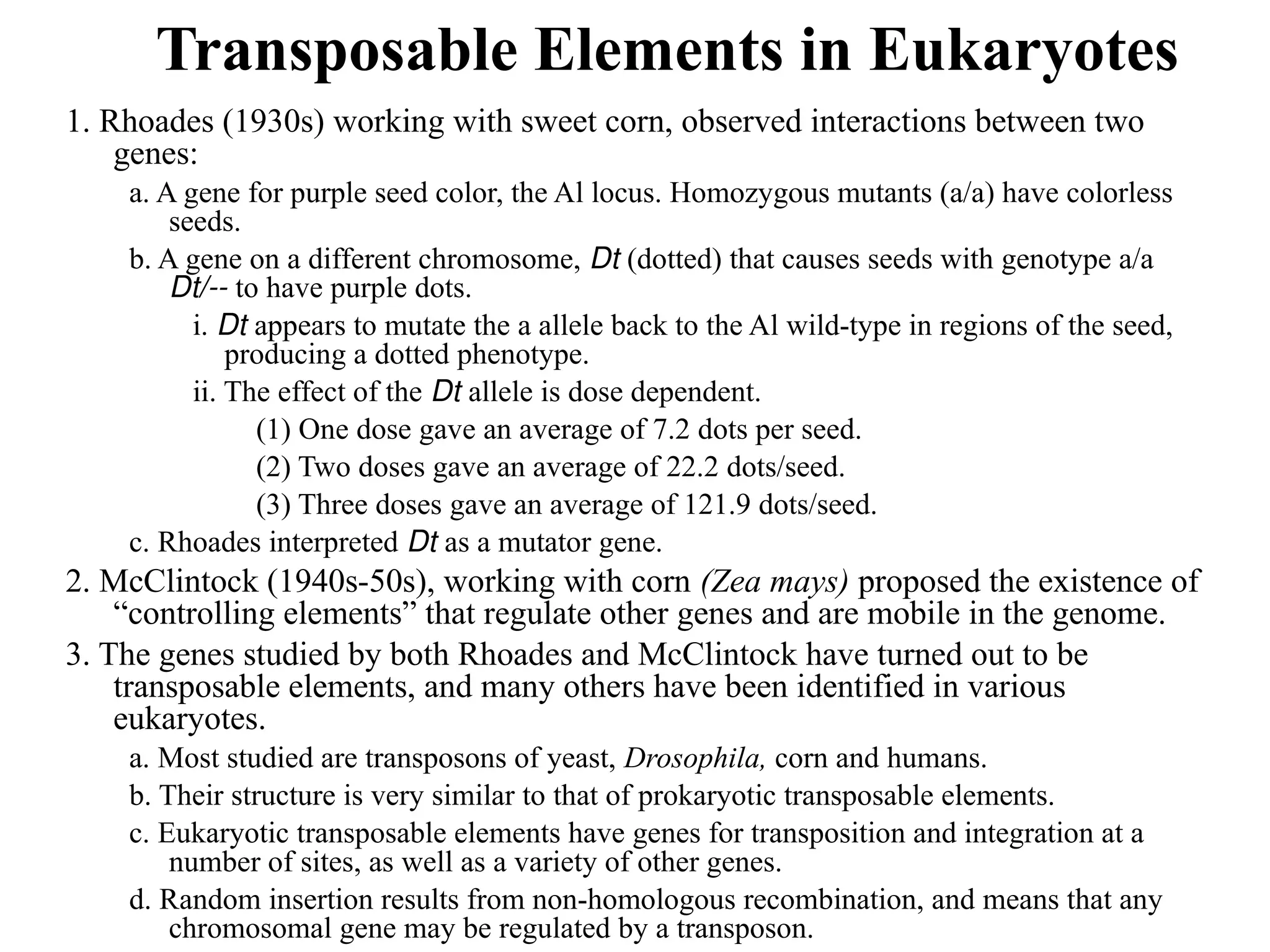 Transposable Elements in Eukaryotes
1. Rhoades (1930s) working with sweet corn, observed interactions between two
genes:
a. A gene for purple seed color, the Al locus. Homozygous mutants (a/a) have colorless
seeds.
b. A gene on a different chromosome, Dt (dotted) that causes seeds with genotype a/a
Dt/-- to have purple dots.
i. Dt appears to mutate the a allele back to the Al wild-type in regions of the seed,
producing a dotted phenotype.
ii. The effect of the Dt allele is dose dependent.
(1) One dose gave an average of 7.2 dots per seed.
(2) Two doses gave an average of 22.2 dots/seed.
(3) Three doses gave an average of 121.9 dots/seed.
c. Rhoades interpreted Dt as a mutator gene.
2. McClintock (1940s-50s), working with corn (Zea mays) proposed the existence of
“controlling elements” that regulate other genes and are mobile in the genome.
3. The genes studied by both Rhoades and McClintock have turned out to be
transposable elements, and many others have been identified in various
eukaryotes.
a. Most studied are transposons of yeast, Drosophila, corn and humans.
b. Their structure is very similar to that of prokaryotic transposable elements.
c. Eukaryotic transposable elements have genes for transposition and integration at a
number of sites, as well as a variety of other genes.
d. Random insertion results from non-homologous recombination, and means that any
chromosomal gene may be regulated by a transposon.
 