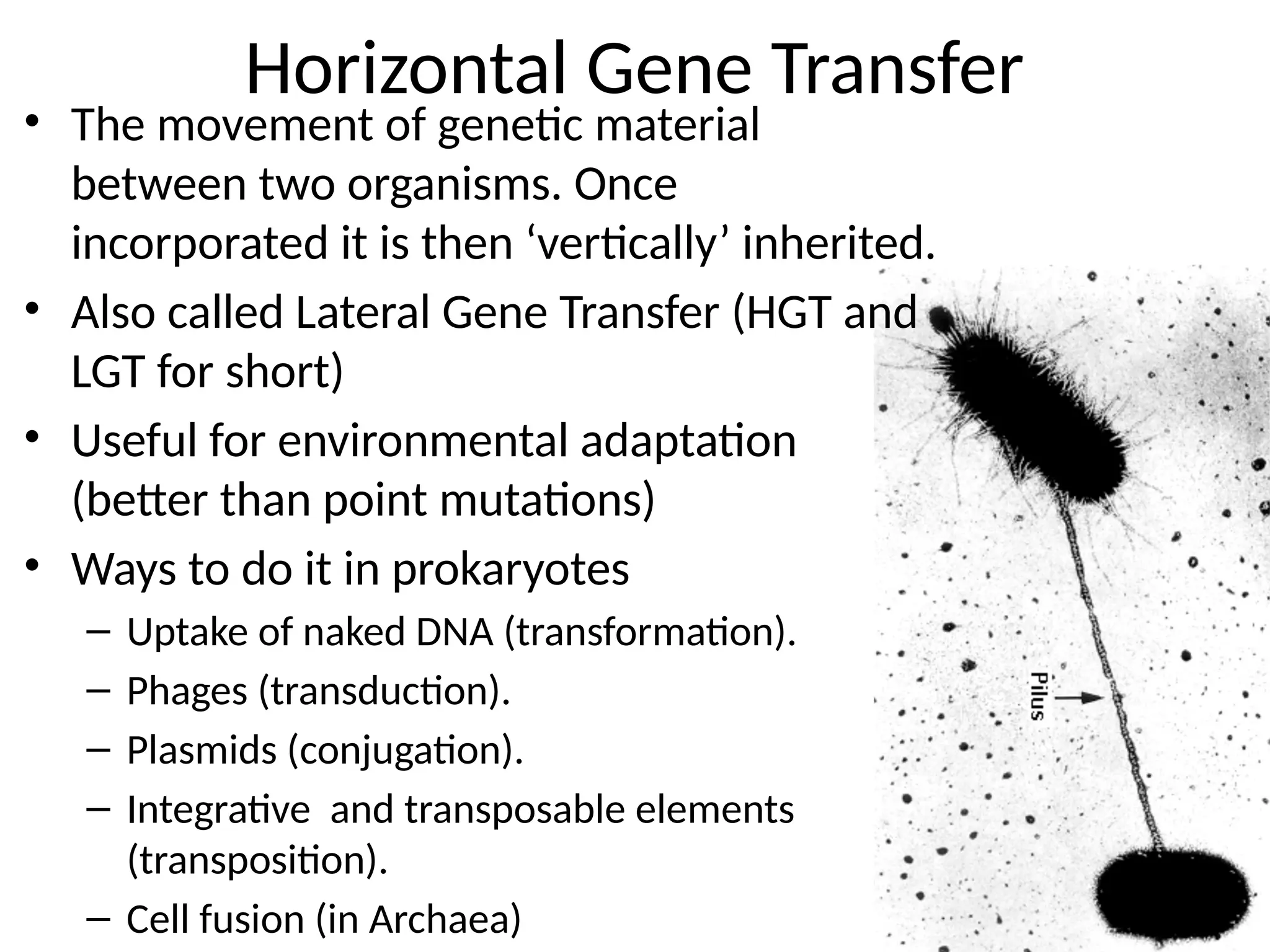 Horizontal Gene Transfer
• The movement of genetic material
between two organisms. Once
incorporated it is then ‘vertically’ inherited.
• Also called Lateral Gene Transfer (HGT and
LGT for short)
• Useful for environmental adaptation
(better than point mutations)
• Ways to do it in prokaryotes
– Uptake of naked DNA (transformation).
– Phages (transduction).
– Plasmids (conjugation).
– Integrative and transposable elements
(transposition).
– Cell fusion (in Archaea)
 