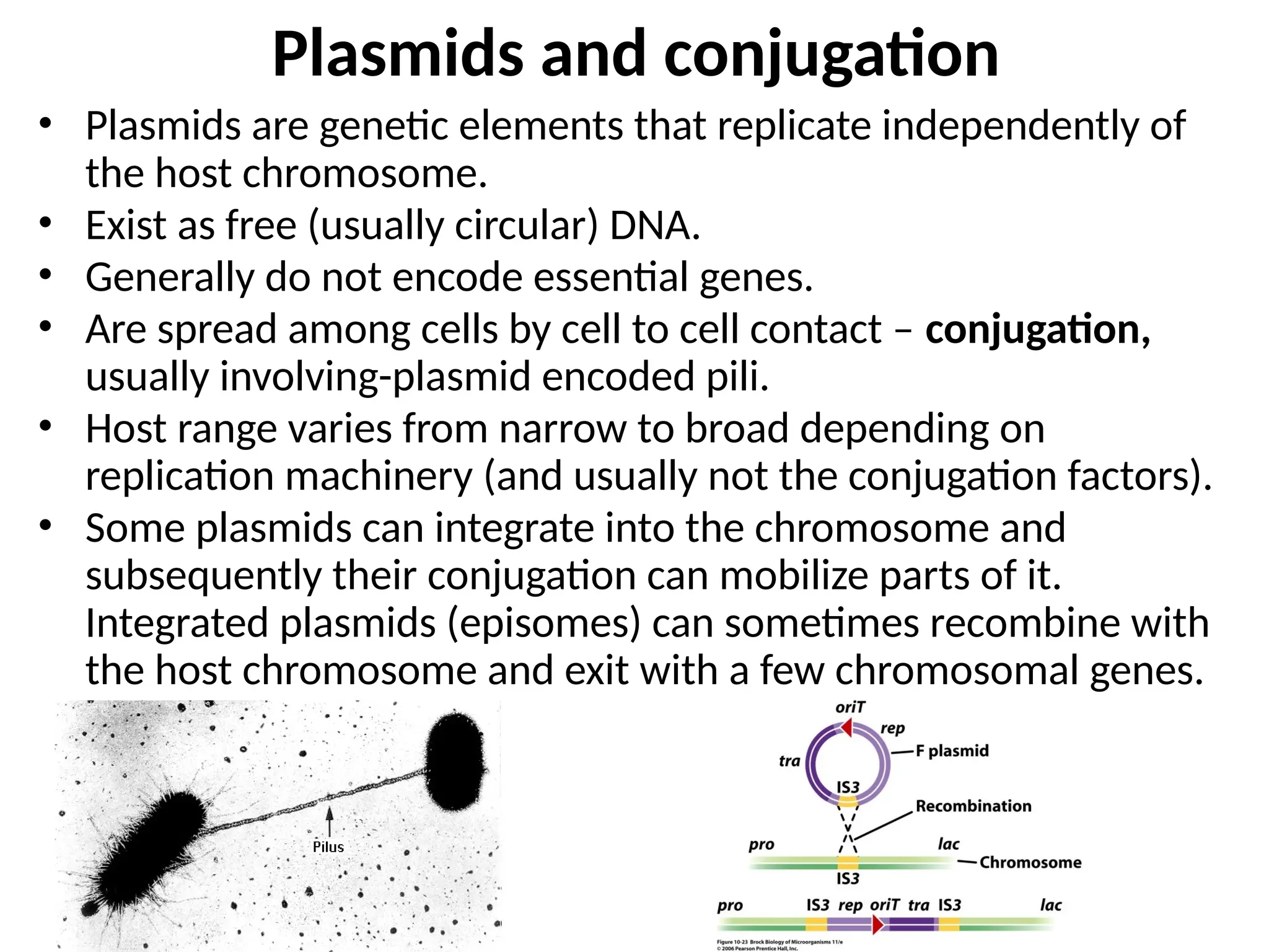 Plasmids and conjugation
• Plasmids are genetic elements that replicate independently of
the host chromosome.
• Exist as free (usually circular) DNA.
• Generally do not encode essential genes.
• Are spread among cells by cell to cell contact – conjugation,
usually involving-plasmid encoded pili.
• Host range varies from narrow to broad depending on
replication machinery (and usually not the conjugation factors).
• Some plasmids can integrate into the chromosome and
subsequently their conjugation can mobilize parts of it.
Integrated plasmids (episomes) can sometimes recombine with
the host chromosome and exit with a few chromosomal genes.
 