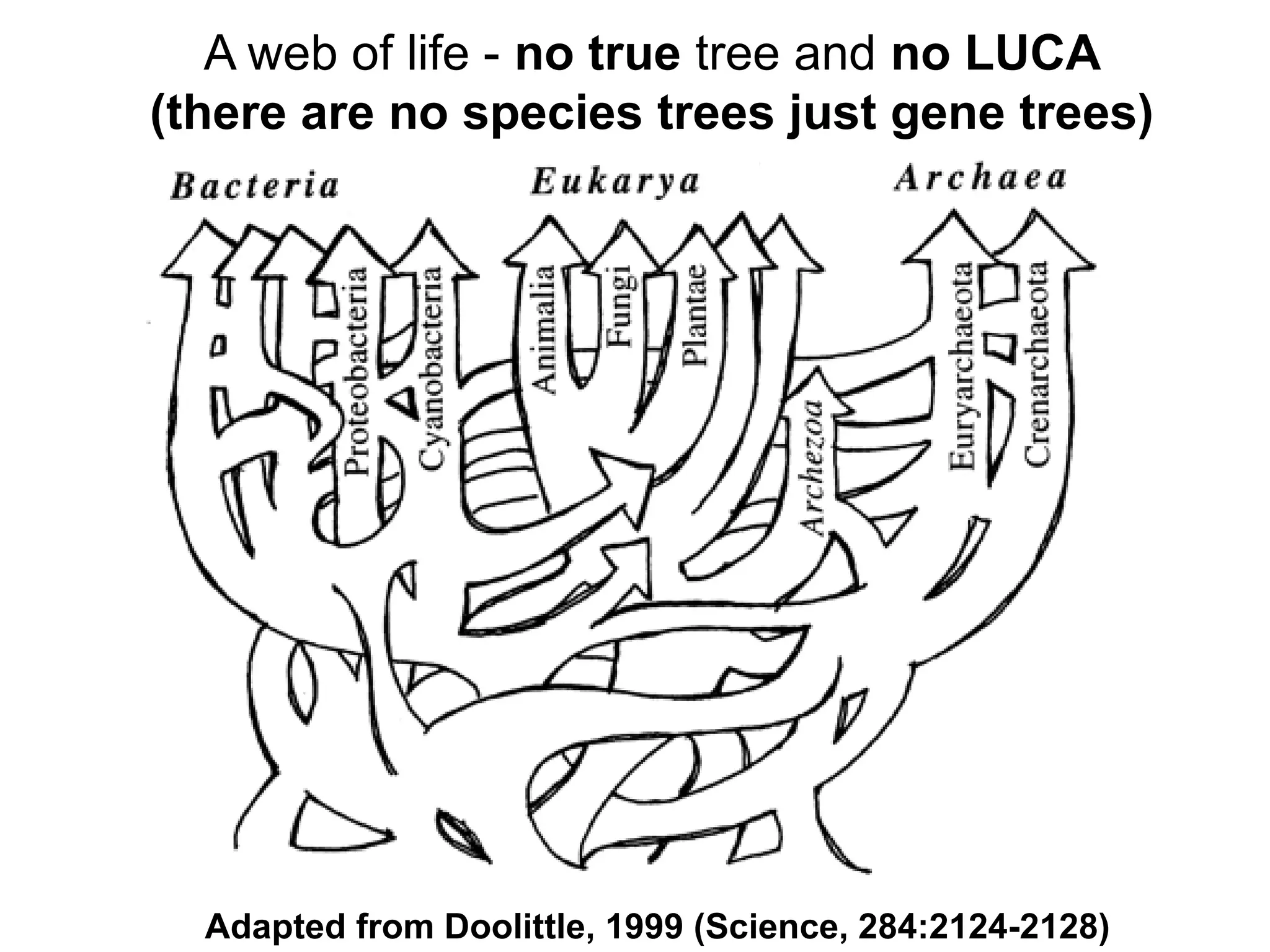 Adapted from Doolittle, 1999 (Science, 284:2124-2128)
A web of life - no true tree and no LUCA
(there are no species trees just gene trees)
 