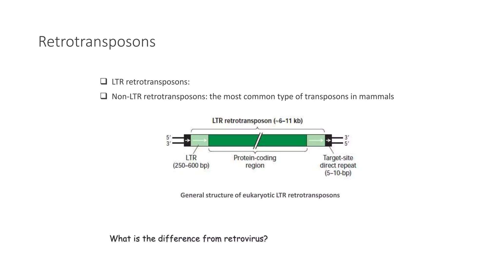 Transposons and mechanisms of transposition | PPT