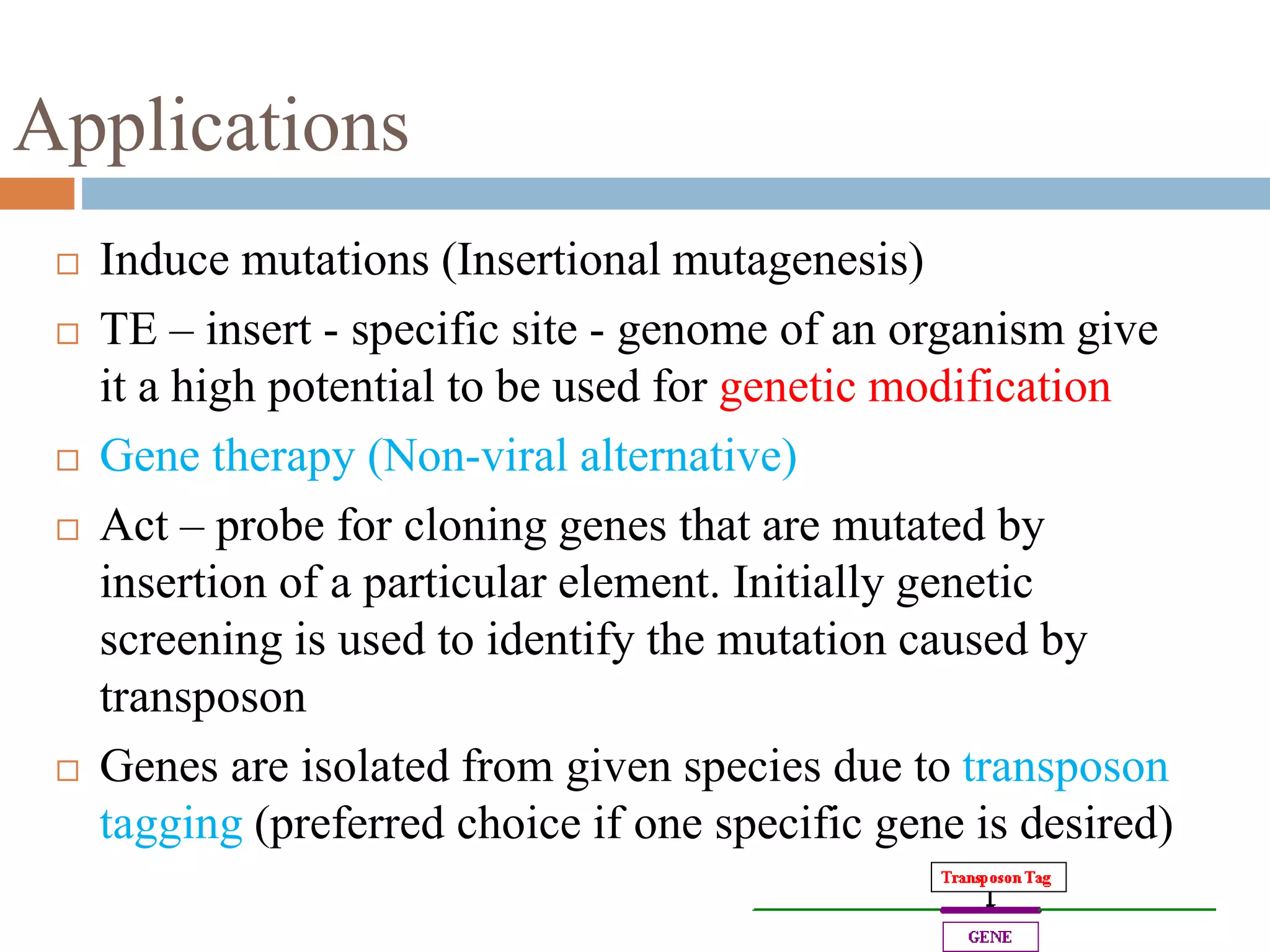 Applications 
 Induce mutations (Insertional mutagenesis) 
 TE – insert - specific site - genome of an organism give 
it a high potential to be used for genetic modification 
 Gene therapy (Non-viral alternative) 
 Act – probe for cloning genes that are mutated by 
insertion of a particular element. Initially genetic 
screening is used to identify the mutation caused by 
transposon 
 Genes are isolated from given species due to transposon 
tagging (preferred choice if one specific gene is desired) 
 