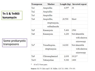 Tn 5 & Tn903 
kanamycin 
Some prokaryotic 
transposons 
 