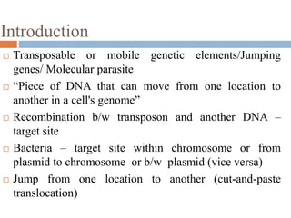 Introduction 
 Transposable or mobile genetic elements/Jumping 
genes/ Molecular parasite 
 “Piece of DNA that can move from one location to 
another in a cell's genome” 
 Recombination b/w transposon and another DNA – 
target site 
 Bacteria – target site within chromosome or from 
plasmid to chromosome or b/w plasmid (vice versa) 
 Jump from one location to another (cut-and-paste 
translocation) 
 