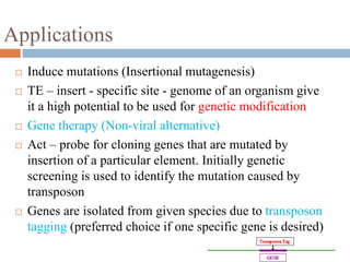 Applications 
 Induce mutations (Insertional mutagenesis) 
 TE – insert - specific site - genome of an organism give 
it a high potential to be used for genetic modification 
 Gene therapy (Non-viral alternative) 
 Act – probe for cloning genes that are mutated by 
insertion of a particular element. Initially genetic 
screening is used to identify the mutation caused by 
transposon 
 Genes are isolated from given species due to transposon 
tagging (preferred choice if one specific gene is desired) 
 