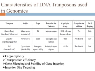 Characteristics of DNA Tranposons used 
in Genomics 
Cargo capacity 
Transposition efficiency 
Gene Silencing and Stability of Gene Insertion 
Insertion Site Targeting 
 