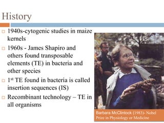 History 
 1940s-cytogenic studies in maize 
kernels 
 1960s - James Shapiro and 
others found transposable 
elements (TE) in bacteria and 
other species 
 1st TE found in bacteria is called 
insertion sequences (IS) 
 Recombinant technology – TE in 
all organisms 
Barbara McClintock (1983)- Nobel 
Prize in Physiology or Medicine 
 