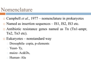 Nomenclature 
 Campbell et al., 1977 – nomenclature in prokaryotes 
 Named as insertion sequences – IS1, IS2, IS3 etc. 
 Antibiotic resistance genes named as Tn (Tn1-ampr, 
Tn2, Tn3 etc). 
 Eukaryotes – nonstandard way 
Drosophila- copia, p-elements 
Yeast- Ty, 
maize- Ac&Ds, 
Human- Alu 
 