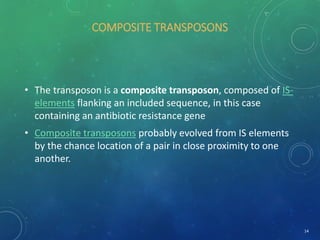 COMPOSITE TRANSPOSONS
• The transposon is a composite transposon, composed of IS-
elements flanking an included sequence, in this case
containing an antibiotic resistance gene
• Composite transposons probably evolved from IS elements
by the chance location of a pair in close proximity to one
another.
14
 