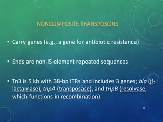 NONCOMPOSITE TRANSPOSONS
• Carry genes (e.g., a gene for antibiotic resistance)
• Ends are non-IS element repeated sequences
• Tn3 is 5 kb with 38-bp ITRs and includes 3 genes; bla (-
lactamase), tnpA (transposase), and tnpB (resolvase,
which functions in recombination)
16
 